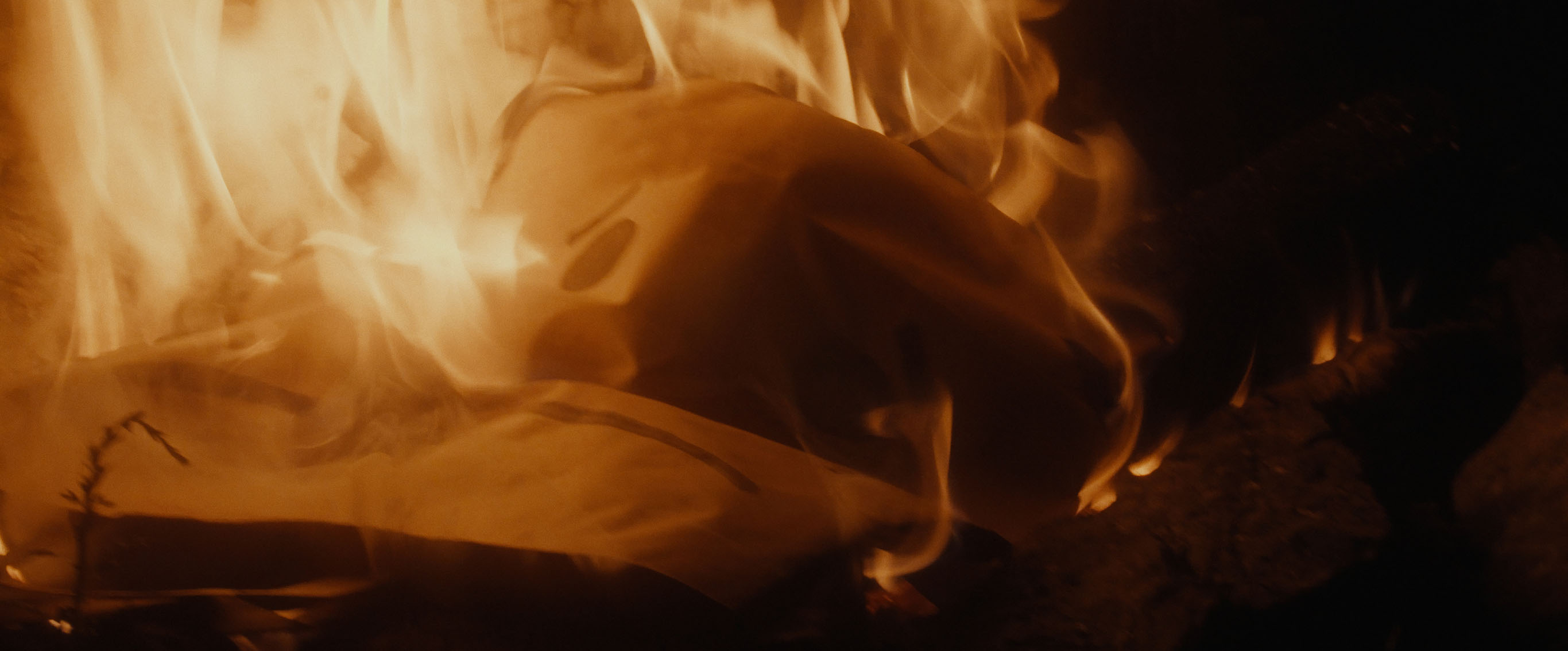 ON FIRE